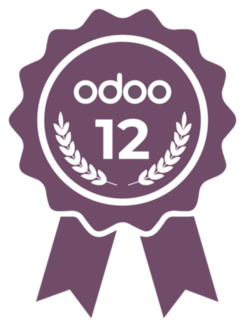 Odoo Ready Partner Logo